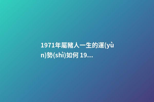 1971年屬豬人一生的運(yùn)勢(shì)如何 1971年屬豬人一生運(yùn)勢(shì)是什么-第1張-觀點(diǎn)-玄機(jī)派